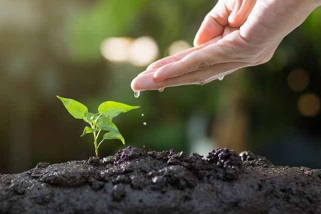 thophilong-soil-8080788_640